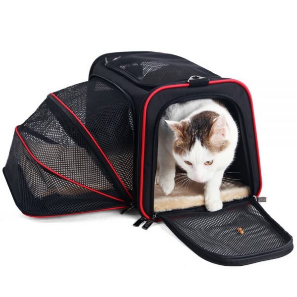 Expandable-Pet-Carrier-For-Small-Dogs-Cats-Soft-Sided-Crate-Airline-Approved-Kennel-Car-Travel-Bag-2.jpg