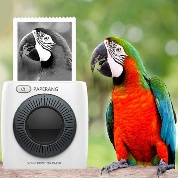 NEW-PAPERANG-P2-Pocket-Portable-Bluetooth-Printer-Phone-Photo-Wireless-Connection-HD-Thermal-Label-Printer-1000mAh-1.jpg