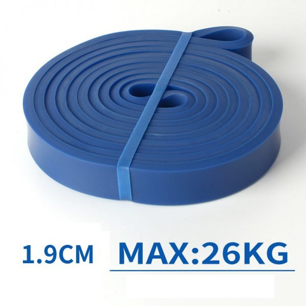 Resistance Band Exercise Elastic Band Workout Ruber Loop Crossfit Strength Pilates Fitness Equipment Training Expander Unisex - Image 5