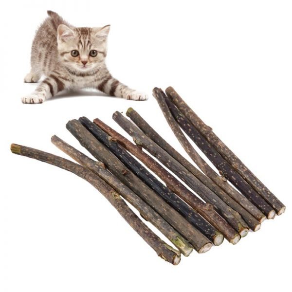 5/10/15/20pcs Pure Natural Catnip Pet Cat Toy Molar Toothpaste Branch Cleaning Teeth Silvervine Cat Snacks Sticks Pet Supplies - Image 2