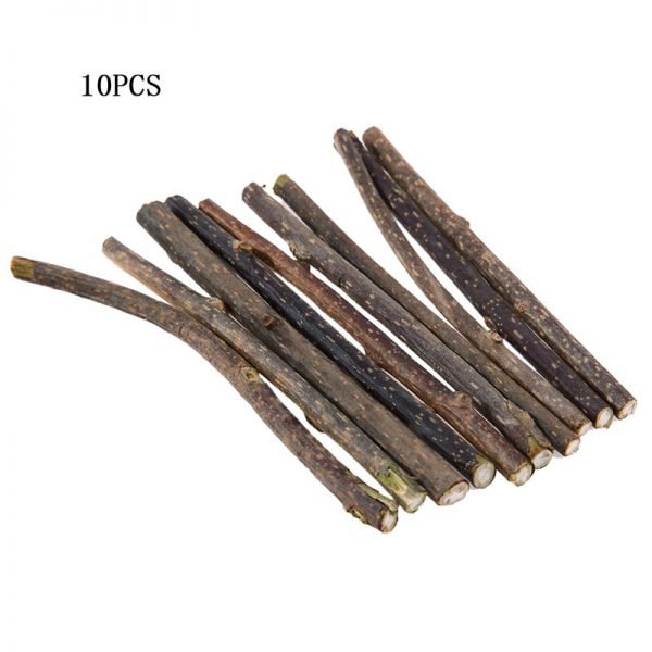 5/10/15/20pcs Pure Natural Catnip Pet Cat Toy Molar Toothpaste Branch Cleaning Teeth Silvervine Cat Snacks Sticks Pet Supplies - Image 4