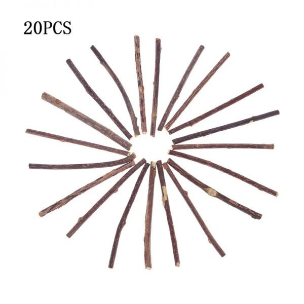 5/10/15/20pcs Pure Natural Catnip Pet Cat Toy Molar Toothpaste Branch Cleaning Teeth Silvervine Cat Snacks Sticks Pet Supplies - Image 6