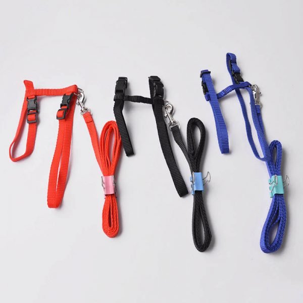 Cat Dog Collar Harness And Leash Adjustable Nylon Pet Traction Cat Kitten Halter Collar Cats Products For Pet Harness Belt - Image 2