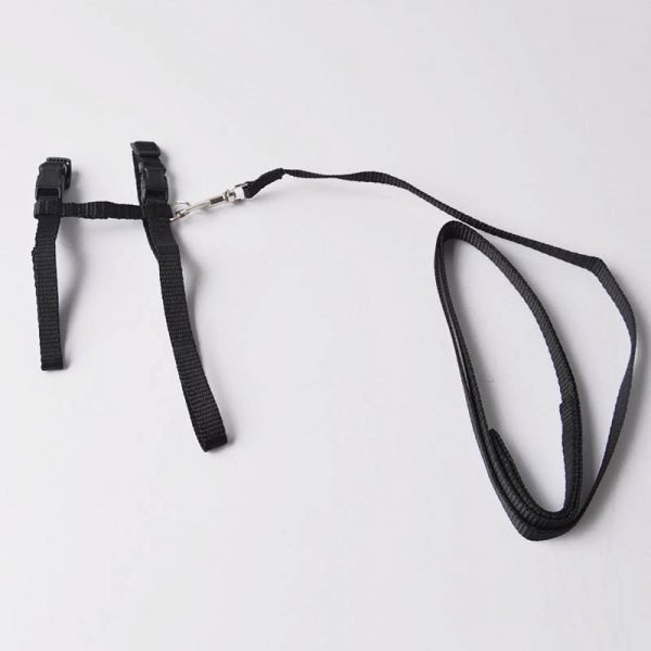 Cat Dog Collar Harness And Leash Adjustable Nylon Pet Traction Cat Kitten Halter Collar Cats Products For Pet Harness Belt - Image 3