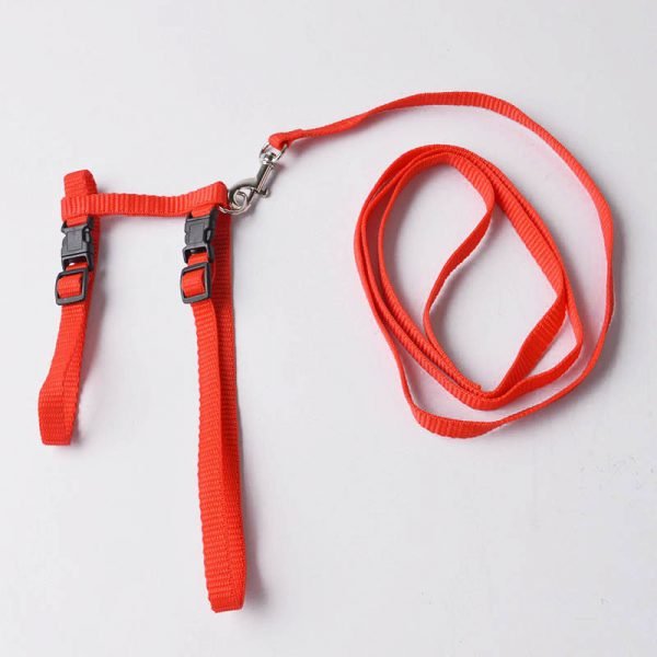Cat Dog Collar Harness And Leash Adjustable Nylon Pet Traction Cat Kitten Halter Collar Cats Products For Pet Harness Belt - Image 4