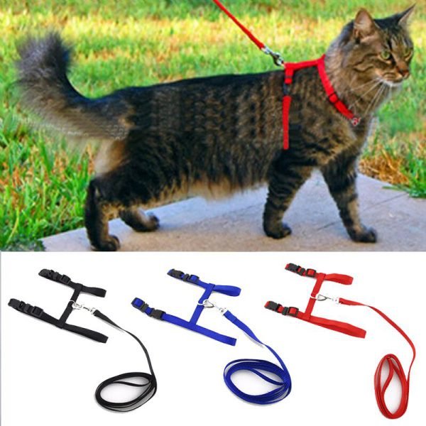 Cat Dog Collar Harness And Leash Adjustable Nylon Pet Traction Cat Kitten Halter Collar Cats Products For Pet Harness Belt