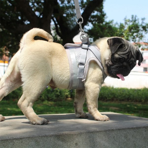 Cat Harness and Leash Set Reflective Kitten Puppy Dogs Jacket Mesh Pet Clothes For Small Dogs Pet Chihuahua Yorkies Pug - Image 5