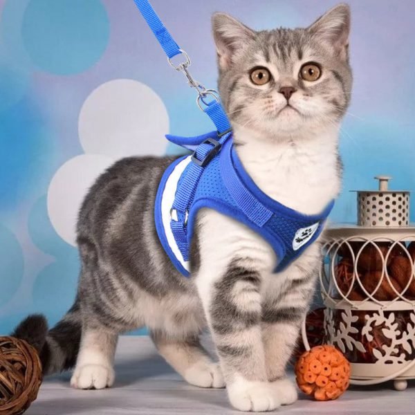 Cat Harness and Leash Set Reflective Kitten Puppy Dogs Jacket Mesh Pet Clothes For Small Dogs Pet Chihuahua Yorkies Pug - Image 6