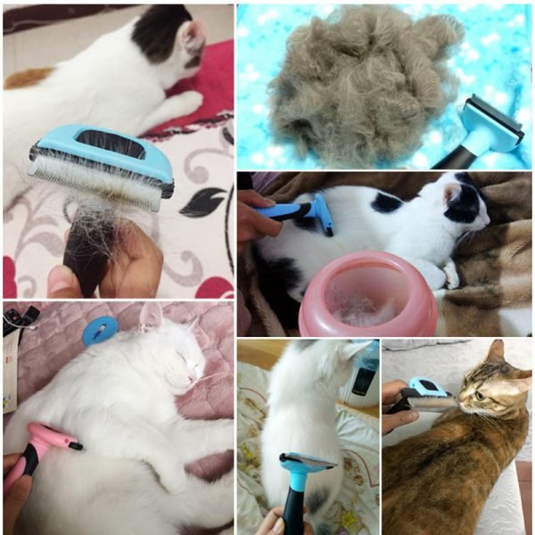 Detachable Pet furmins Hair Removal Comb Dog Short Medium Hair Brush Handle Beauty Brush Accessories Comb for Cats Grooming Tool - Image 6