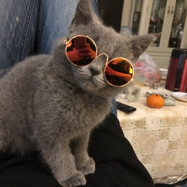 Hoomall 1PC Lovely Pet Cat Glasses Dog Glasses Pet Sunglasses For Little Dog Cat Eye-wear Dog Sunglasses Photos Pet Products - Image 2