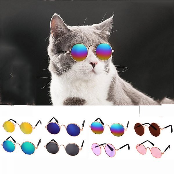 Hoomall 1PC Lovely Pet Cat Glasses Dog Glasses Pet Sunglasses For Little Dog Cat Eye-wear Dog Sunglasses Photos Pet Products - Image 3