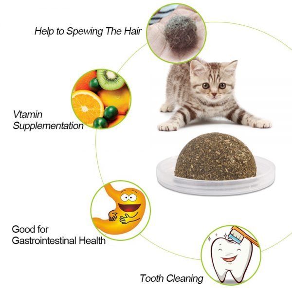 Natural Catnip Toys For Cats Crazy Healthy Cat Toys For Kitten Edible Treating Cleaning Teeth Cat Supplies Pet Toy Pet Products - Image 3