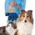 Nicrew Glove For Cats Cat Grooming Pet Dog Hair Deshedding Brush Comb Glove For Pet Dog Finger Cleaning Massage Glove For Animal - Image 3