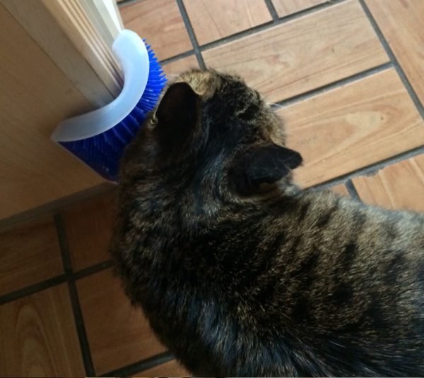 Pet-Cat-Self-Groomer-For-Cat-Grooming-Tool-Hair-Removal-Comb-Dogs-Cat-Brush-Hair-Shedding-3.jpg